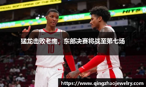 猛龙击败老鹰，东部决赛将战至第七场